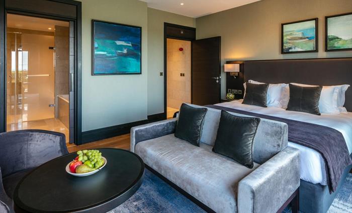 Accessible Bedroom, Oriel Spacious, Twr y Felin